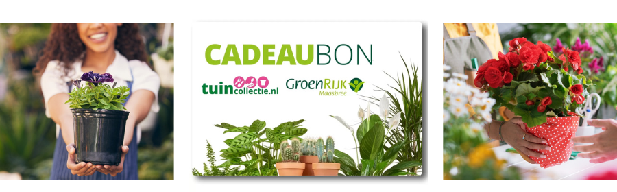 huis en tuin cadeau