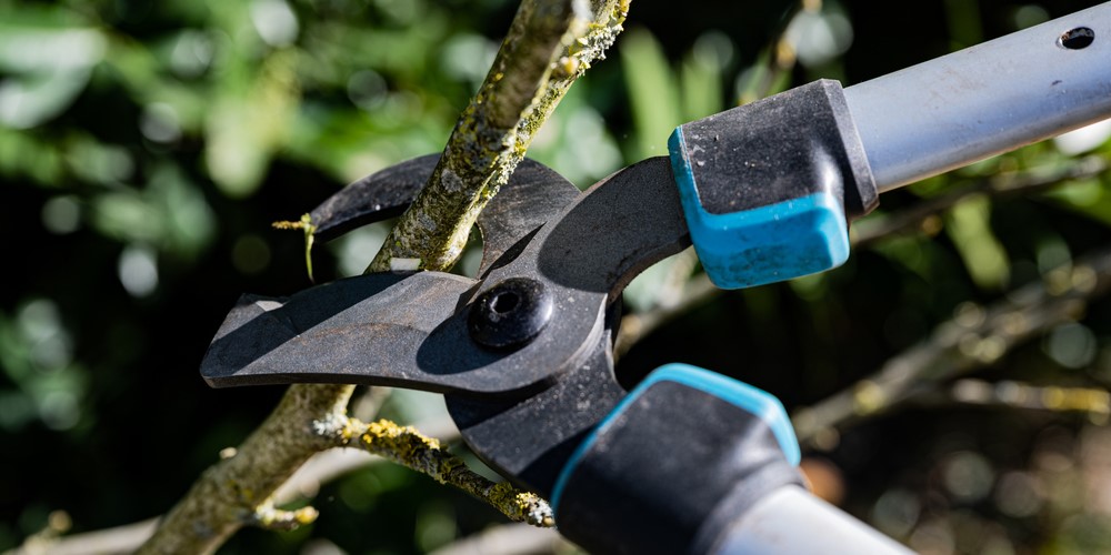 Gardena takkenschaar kopen?