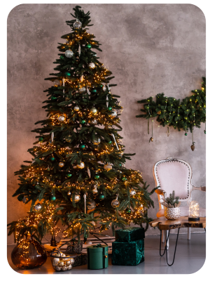 Kerstboom met verlichting bij Tuincollectie.nl