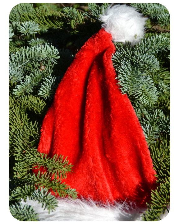 Kerstmutsen kopen bij Tuincollectie.nl