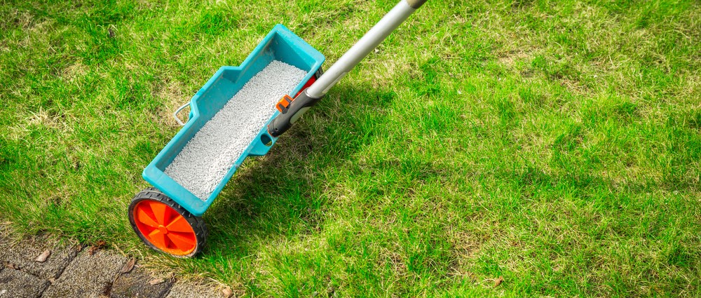 Gazon bemesten met DCM meststoffen