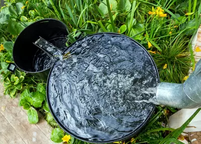 Top tuintips bij extreme droogte