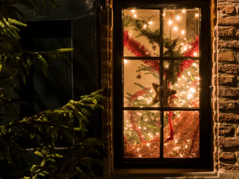 Verbruik kerstverlichting (energiezuinige LEDs) Tuincollectie.nl