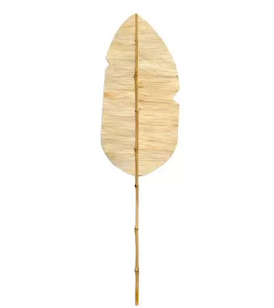 Bananenblad op Stok Lichtbruin 150cm 
