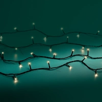Basic Kerstverlichting 40 LED 3m WW