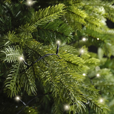 Basic Kerstverlichting 40 LED 3m WW
