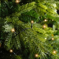Basic Kerstverlichting 80 LED 6m CW