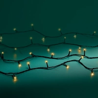 Basic Kerstverlichting 80 LED 6m SG