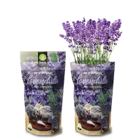 Baza Pop-up Garden Lavendel Zaden