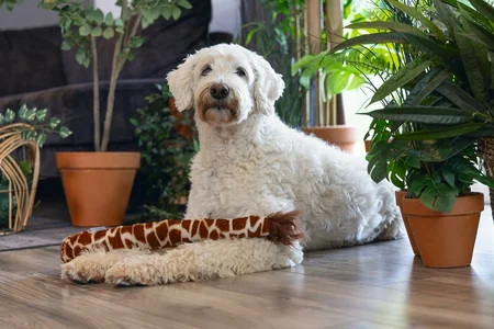 Beeztees Hondenspeelgoed Jungle Giraf Staart 50cm