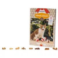 Beeztees Kerst Adventskalender Kattensnacks 24st