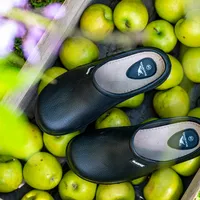 Blackfox Klomp Colors Zwart Maat 45