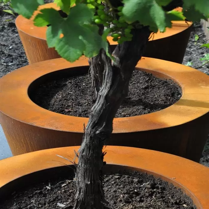 Praten tegen Atletisch tafel Ronde Cortenstaal Plantenbak | Zeer groot | Roestbruin - Tuincollectie.nl