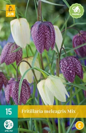 Bloembol Fritillaria meleagris Mix 15st