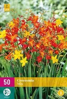 Bloembollen Crocosmia Mix 50st