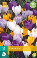 Bloembollen Crocus Mix 10st