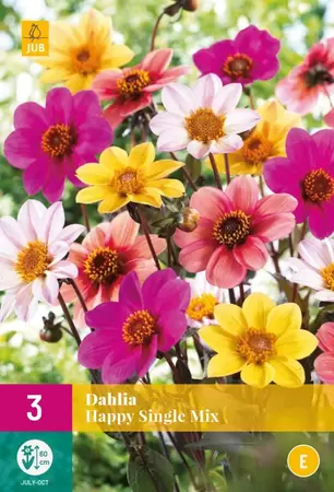 Dahliaknollen Happy Single Mix Tuincollectie.nl