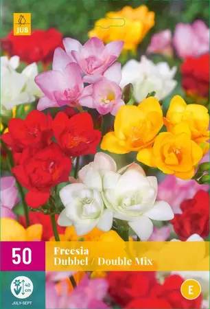 Bloembollen Freesia Dubbel Mix 50st
