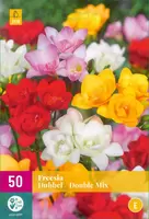 Bloembollen Freesia Dubbel Mix 50st