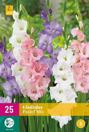 Bloembollen Gladiolus Pastel Mix 25st