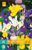 Iris Hollandica Mix bloembollen