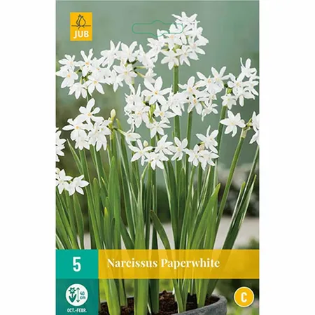 Bloembollen Narcissus Paperwhite 5st