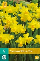 Bloembollen Narcissus Tête-à-Tête 5st