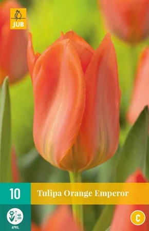 Bloembollen Tulipa Orange Emperor 10st