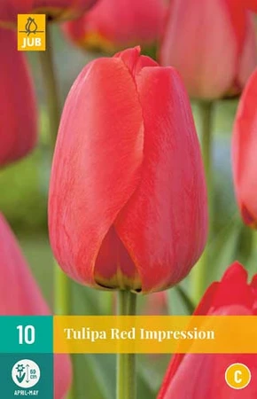 Bloembollen Tulipa Red Impression 10st