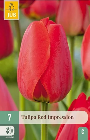 Bloembollen Tulipa Red Impression 7st