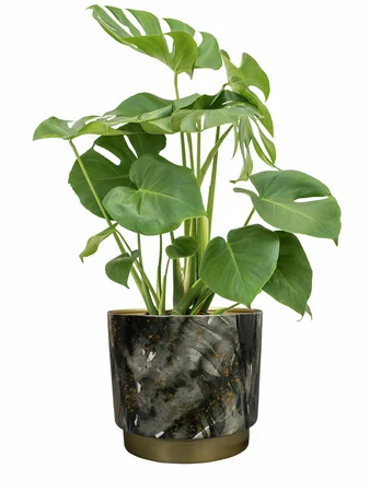 Bloempot Celia Goud Ø23cm