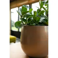 Bloempot Esra Champagne Ø31cm