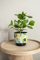 Bloempot Lammie Camelia Blauw Ø17cm