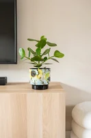 Bloempot Lammie Camelia Blauw Ø22cm