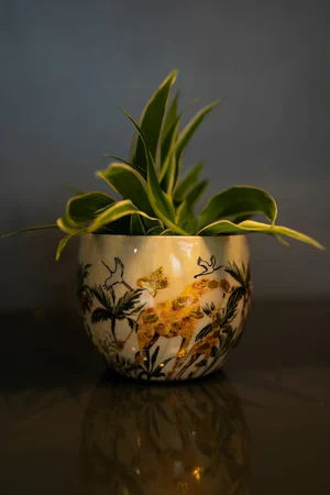Bloempot Lammie Safari Dream Ø7cm