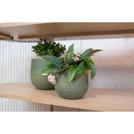 Bloempot Lydia Shiny Green Ø26cm