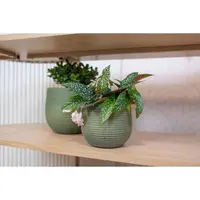 Bloempot Lydia Shiny Green Ø26cm