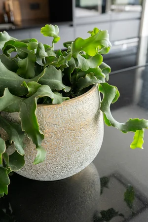 Bloempot Noor Metalic Grey Ø27cm