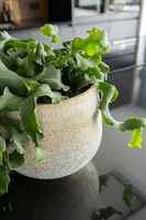 Bloempot Noor Metalic Grey Ø27cm