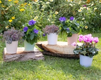 Bloempot Rib IJzer 10,5cm Assorti 1st