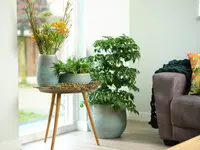 Bloempot Ryan Shiny Blue Ø31cm