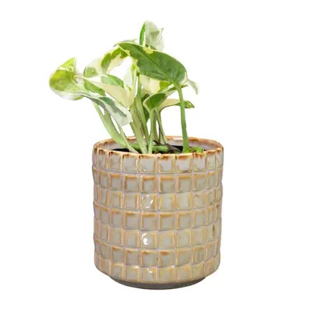 Bloempot Stian Soft Jade Ø10cm