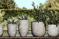 Bloempotten buiten