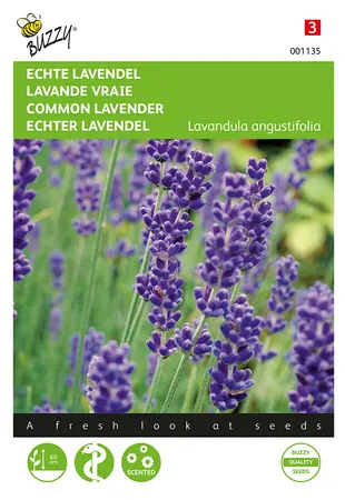 Buzzy® Echte Lavendel Zaden
