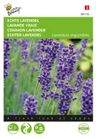 Buzzy® Echte Lavendel Zaden