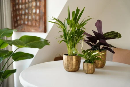 Capi Bloempot Bol Blocks Goud-Zwart Ø14cm