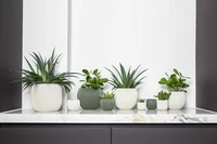 Capi Bloempot Bol Groove Beige Ø14cm