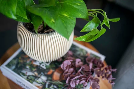 Capi Bloempot Vaas Bol Groove Beige Ø18cm