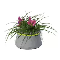Colour pond mini grey/lime 30 cm