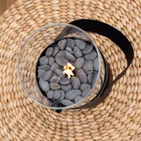 Cosi Cosiscoop Original Gaslantaarn Black